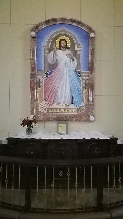 St. Mark the Evangelist