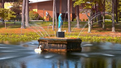 Immaculate Heart of Mary Church